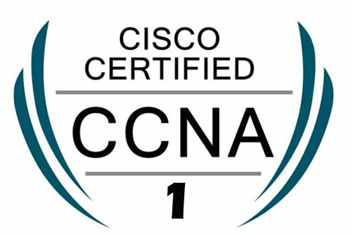 ccna1 ccna1